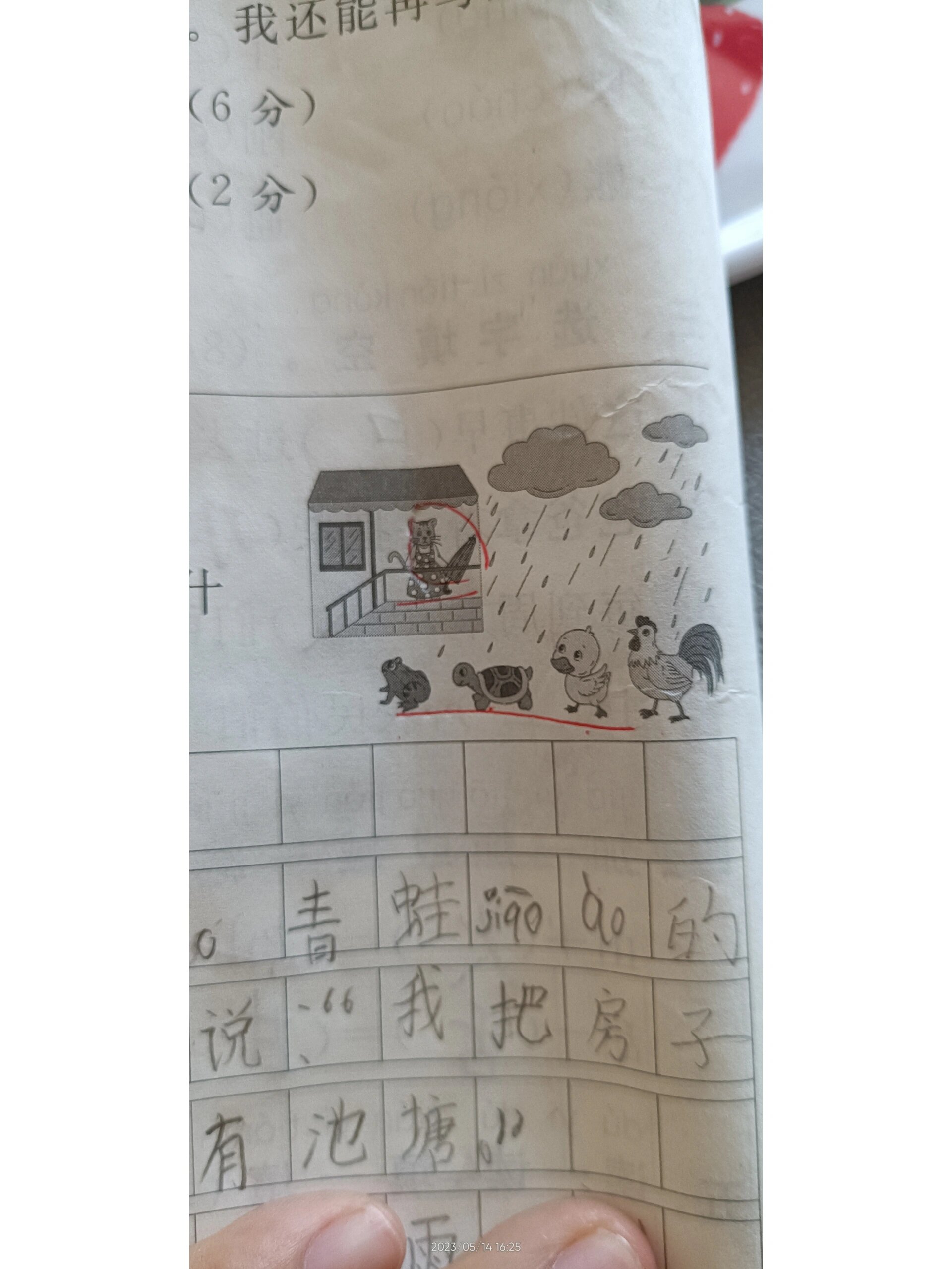 雨后小故事-第3张图片