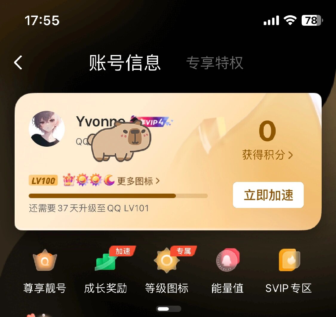 qq号申请靓号QQ靓号申请，开启你的网络新篇章