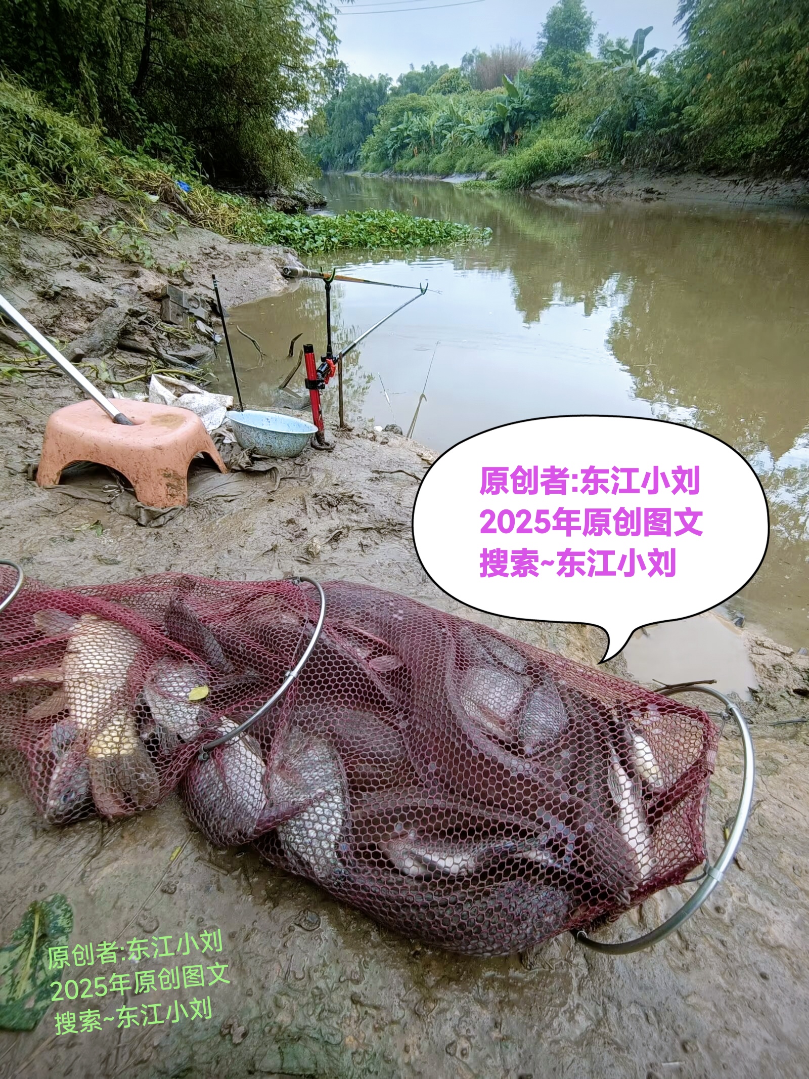 捕鱼89168澳门官方，体验澳门特色捕鱼文化-第2张图片