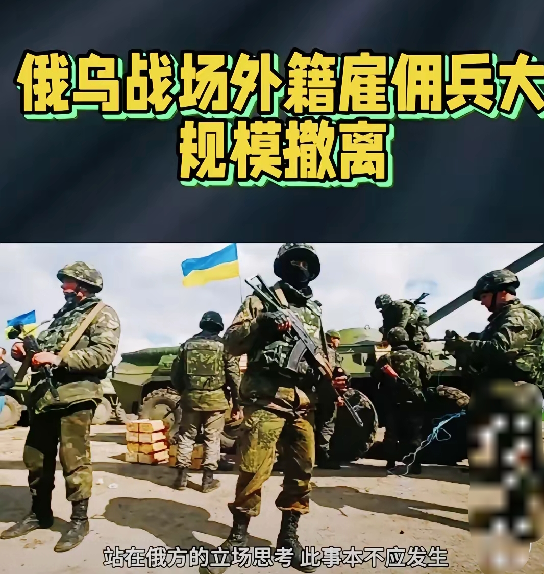 佣兵的战争佣兵，战争中的力量之源-第3张图片
