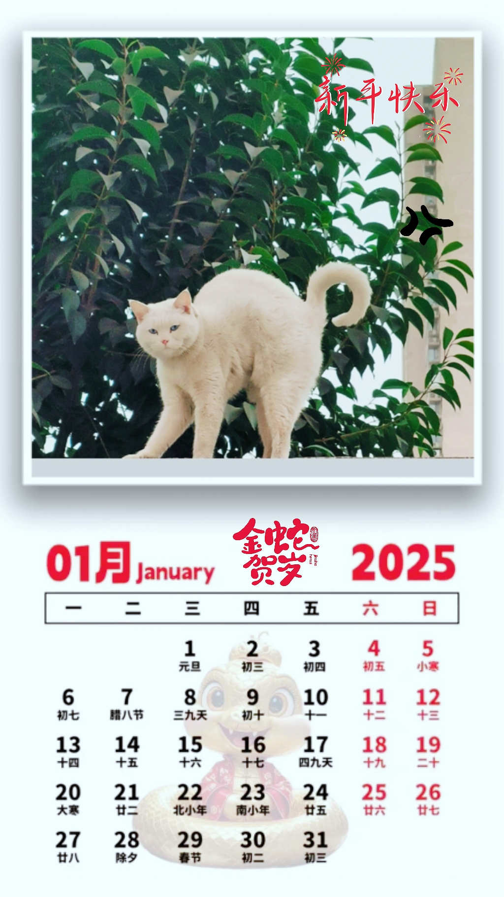 白猫图库白猫印刷图库白猫图库，探索数字时代的艺术宝库-第1张图片