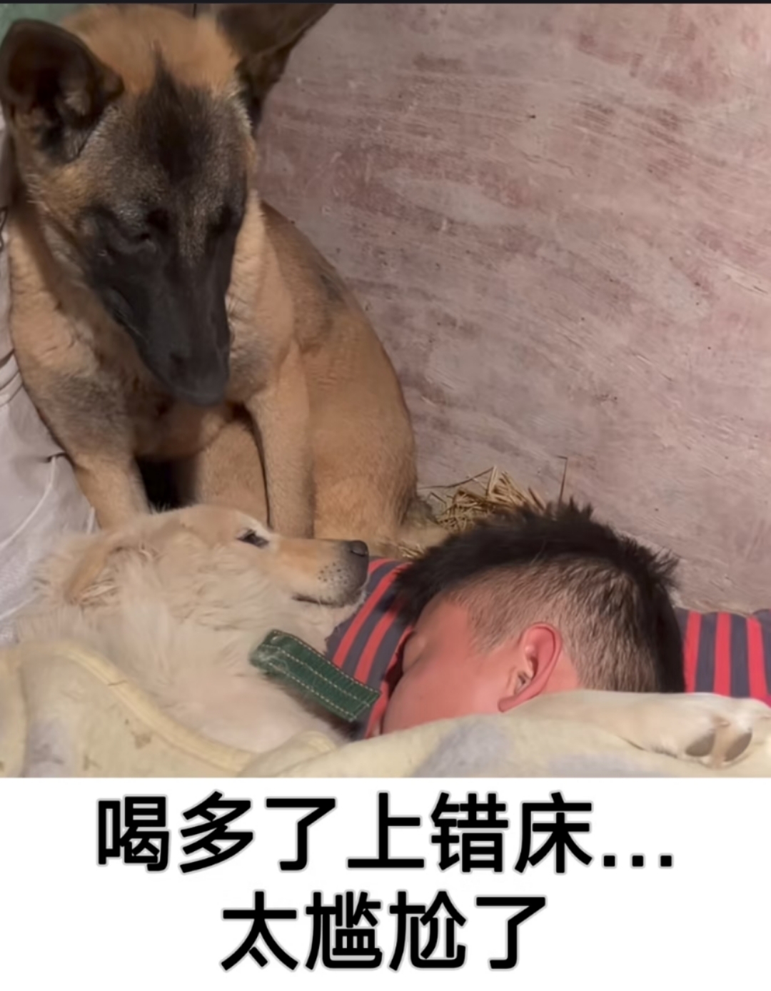 上司威胁妻子开除丈夫侮辱丰满美丽的人妻-第2张图片