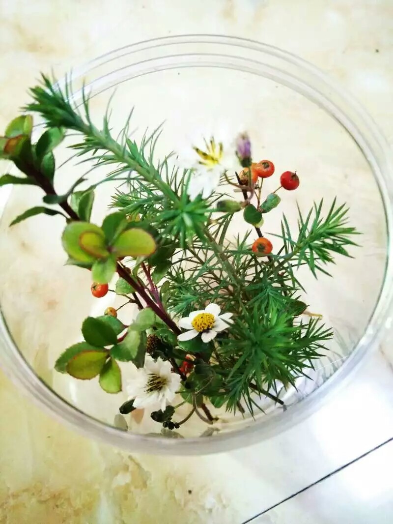野草影院手机在线观看免费体验