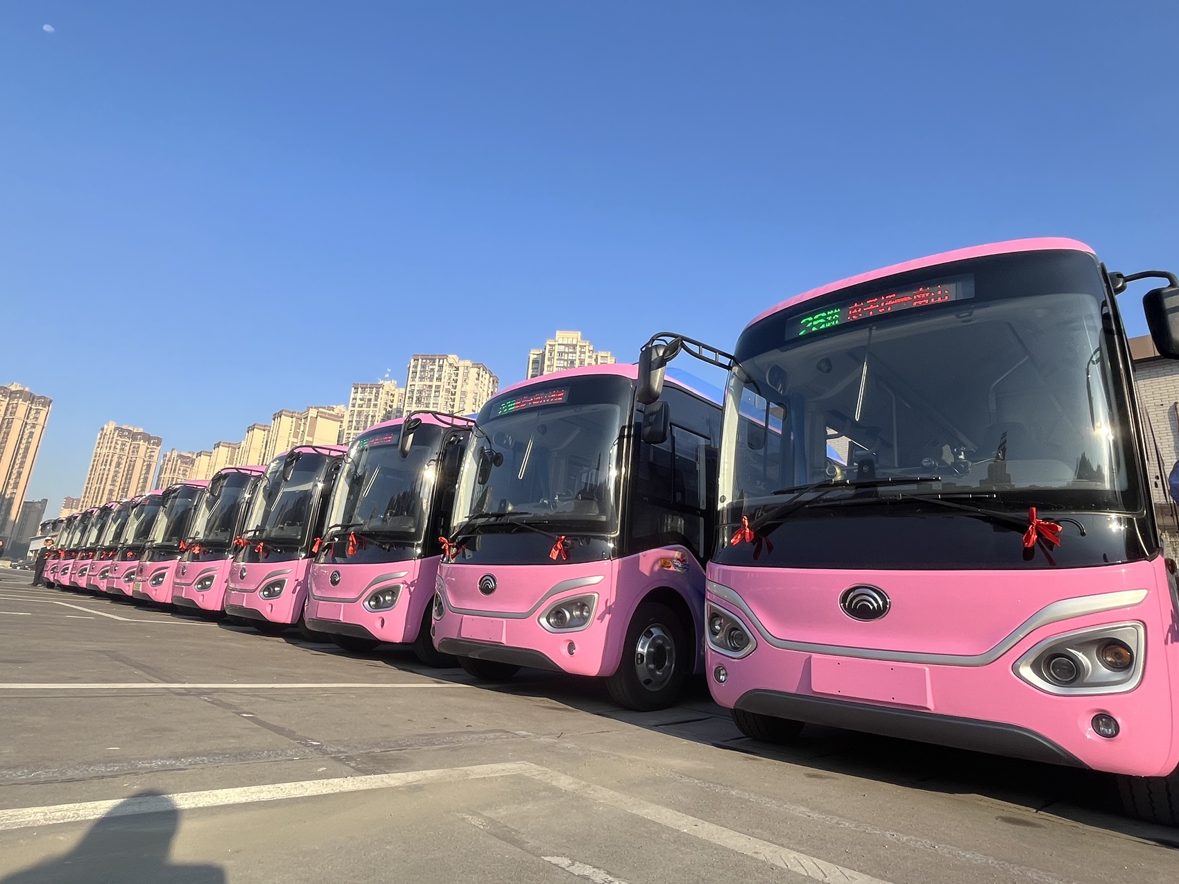 疯狂公交车疯狂公交车-第2张图片