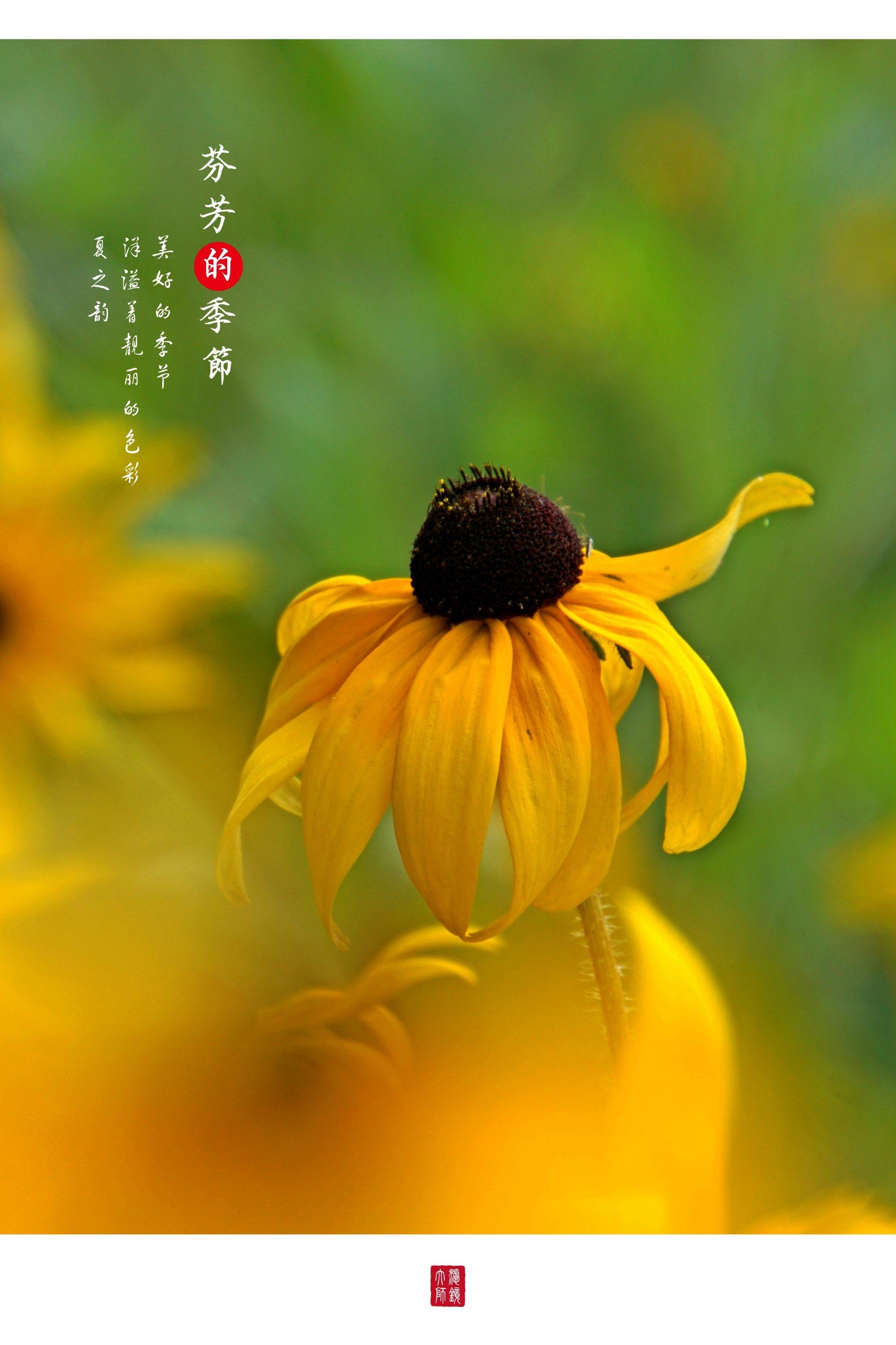 花季传媒，免费观看的秘密花季