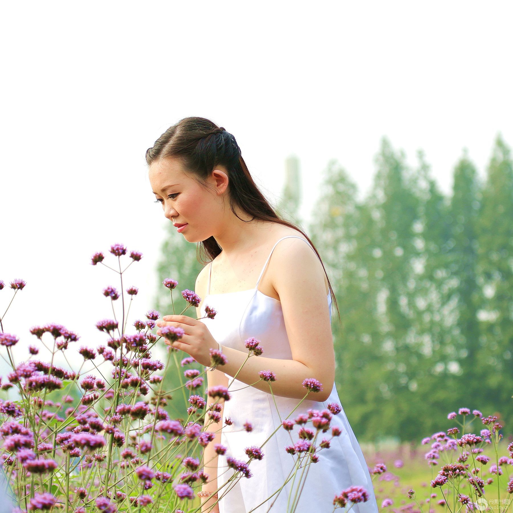 花季传媒3.0.3，每日免费体验3次，畅享传媒新纪元-第2张图片