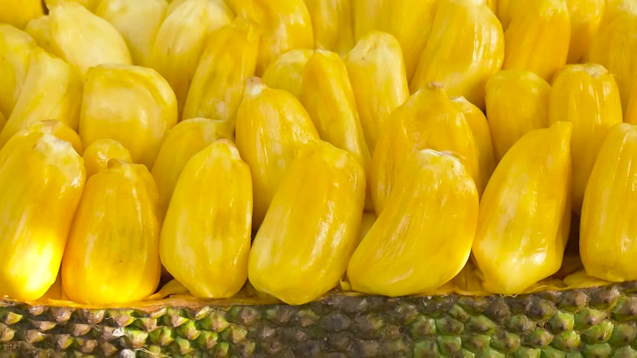 免费观看菠萝蜜视频免费观看菠萝蜜视频