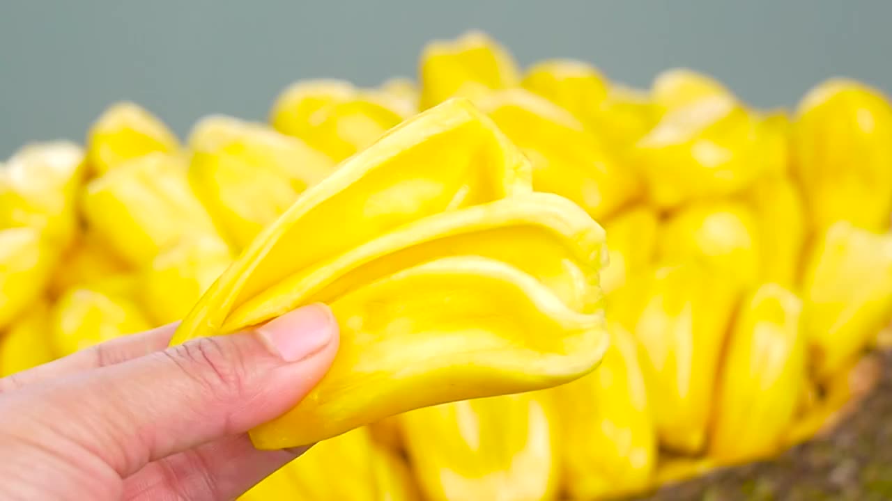 菠萝蜜视频播放高清免费观看-第3张图片