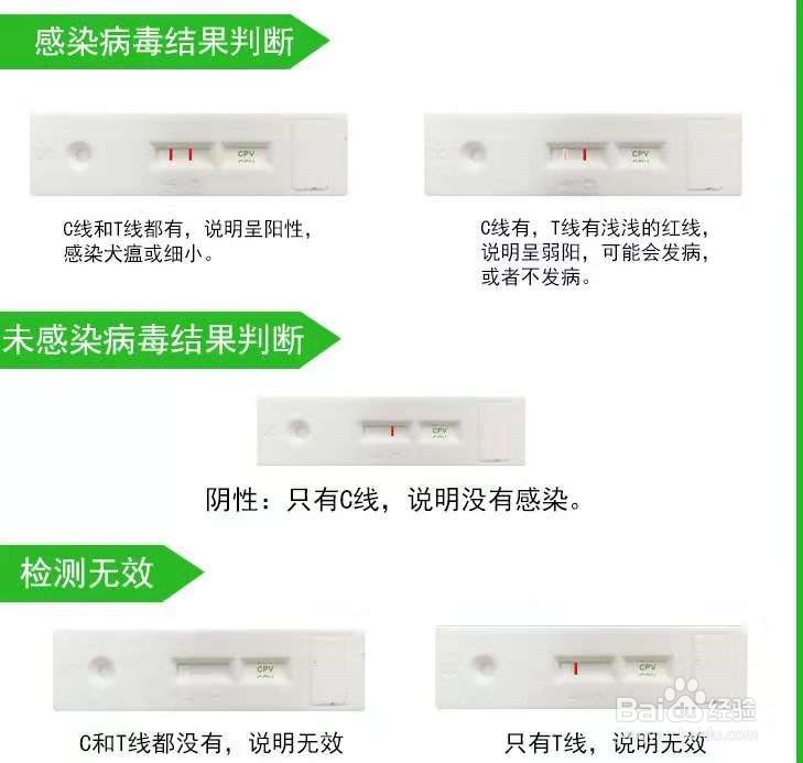 怎样用一根棉签弄自己肛门怎样用一根棉签弄自己-第3张图片
