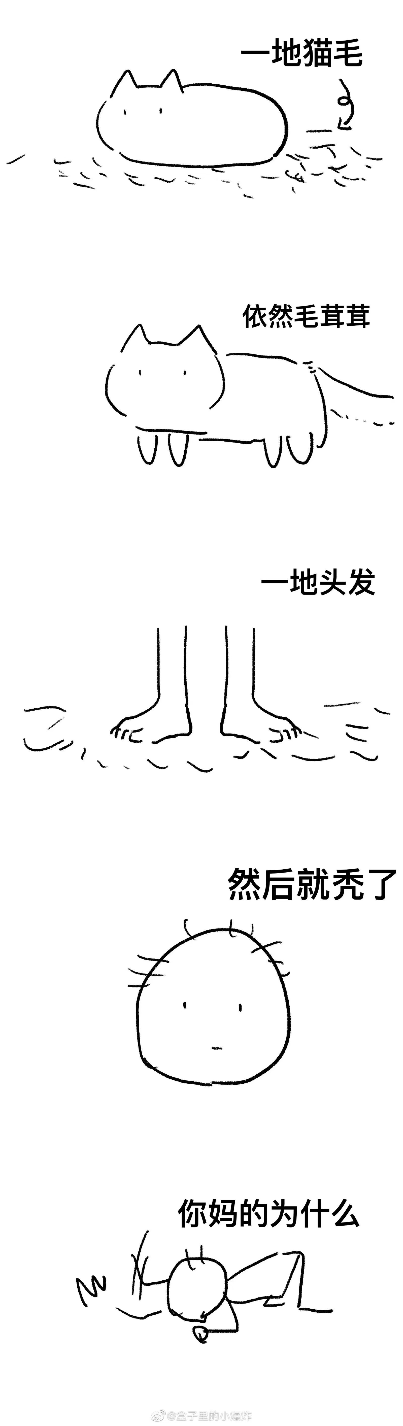 老妇女擦她下面毛茸茸的视频老妇女擦她下面毛茸茸的故事-第1张图片