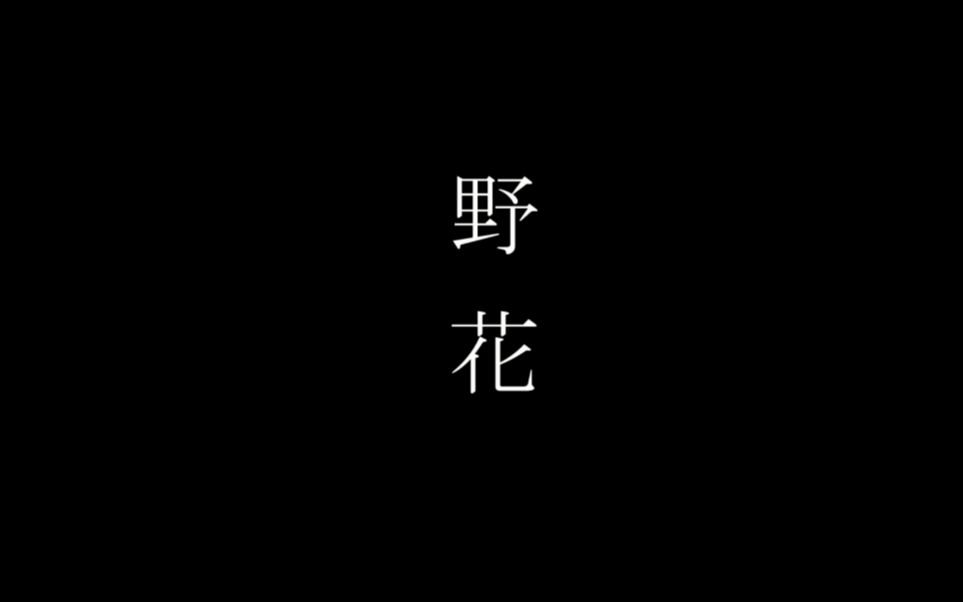 野花日本中文字幕MV-第2张图片