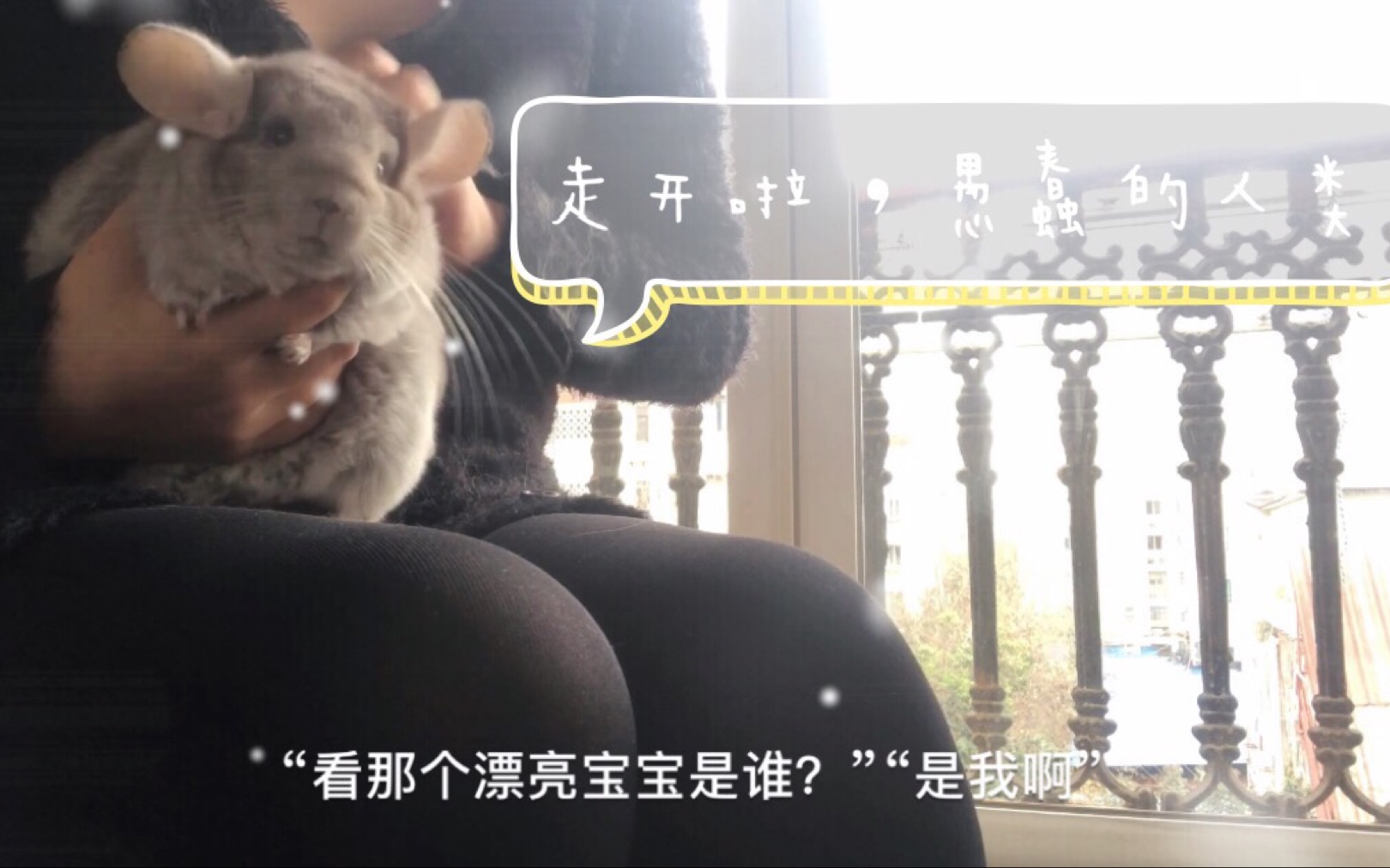 BGMBGMBGM老太太毛多BGMBGMBGM老太太毛多-第3张图片