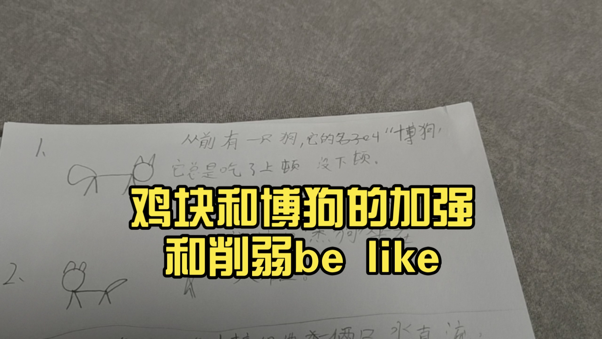 博狗网好不好