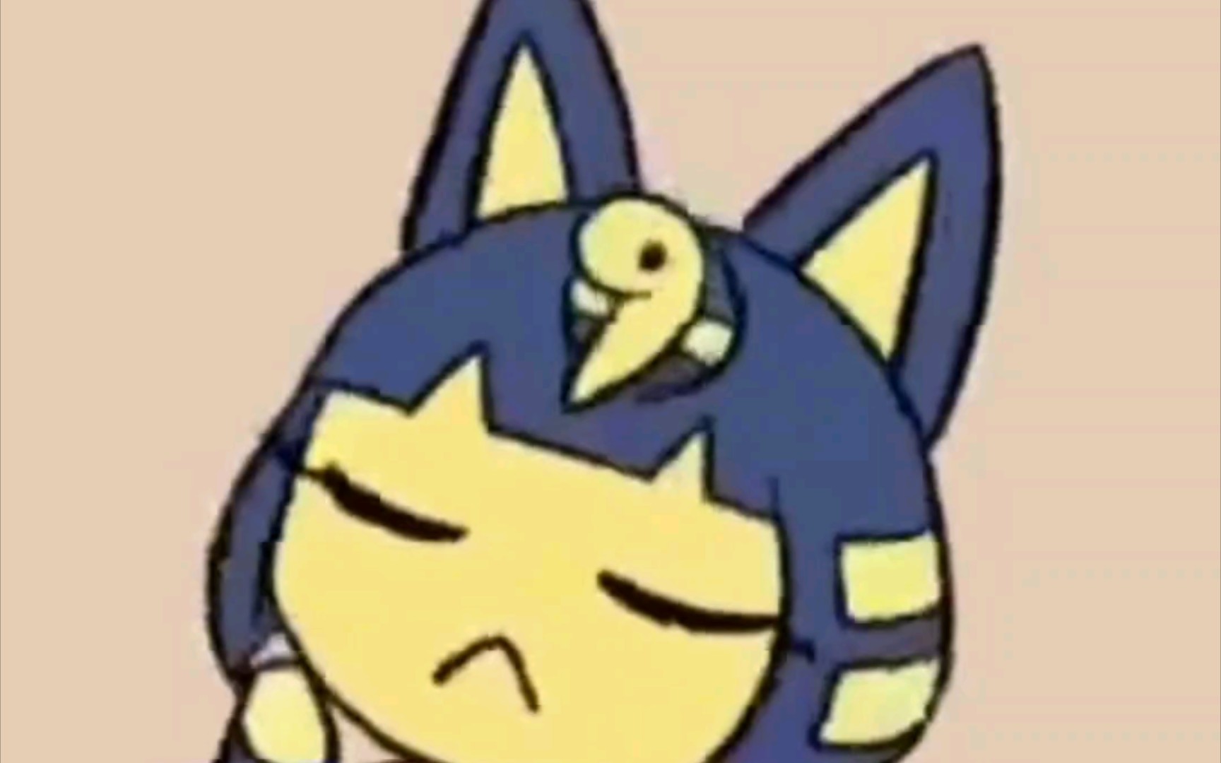 埃及猫跳舞