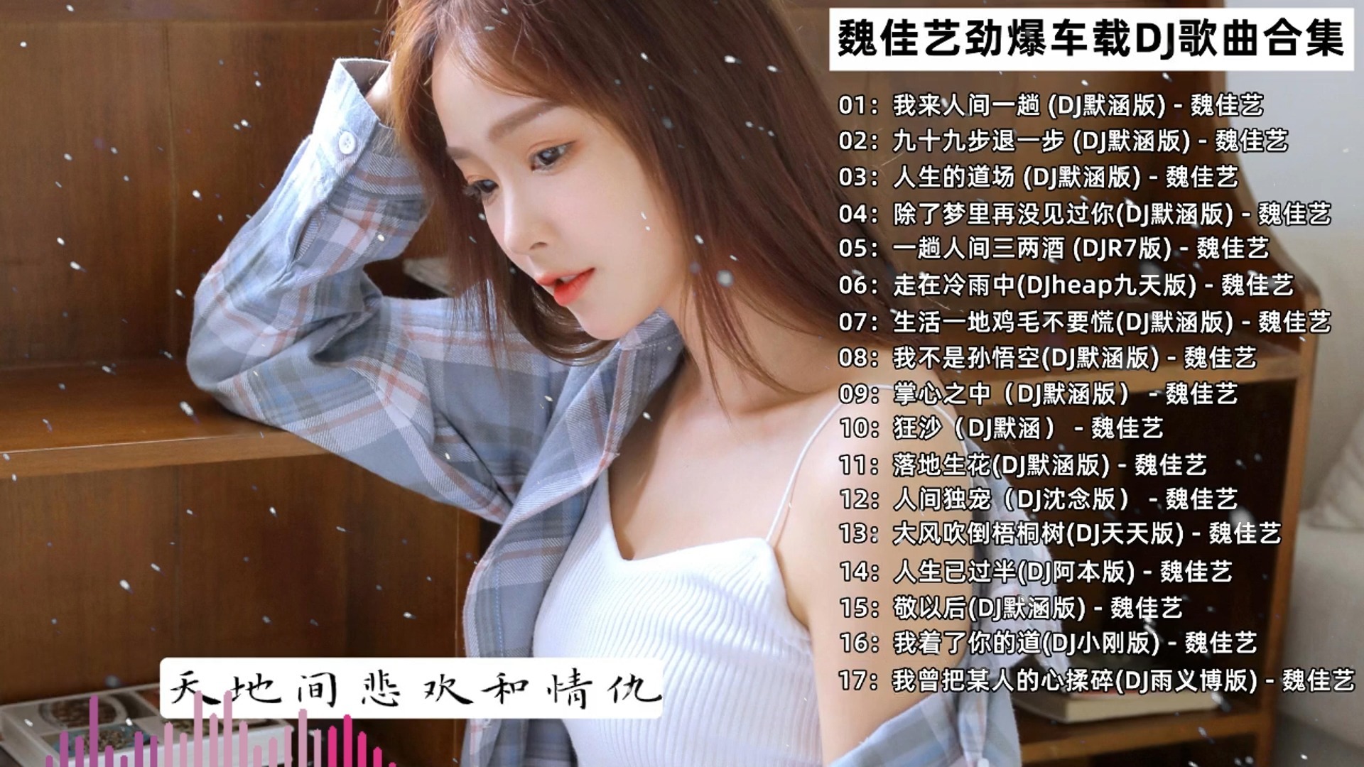 无人在线观看高清电影电视剧免费午夜DJ视频，音乐与情感的交织-第2张图片