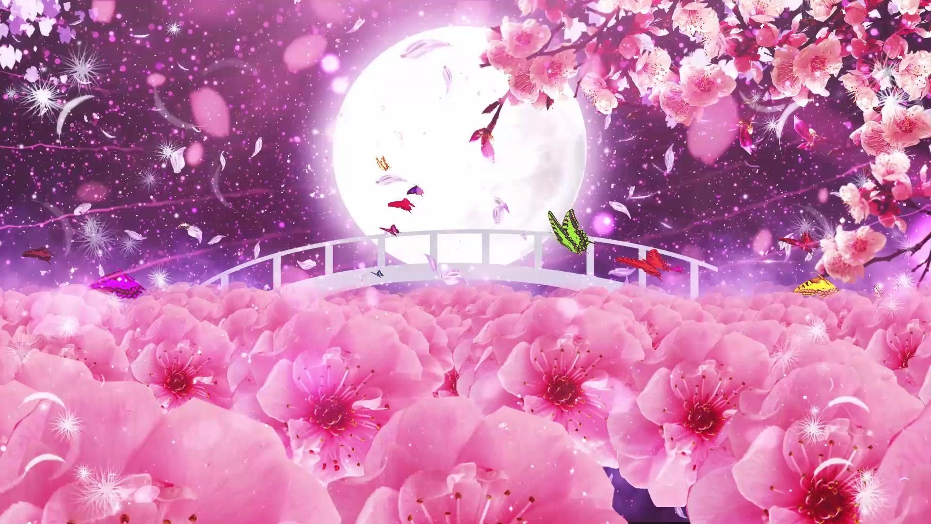 桃花景色视频素材桃花景色视频MV赏析