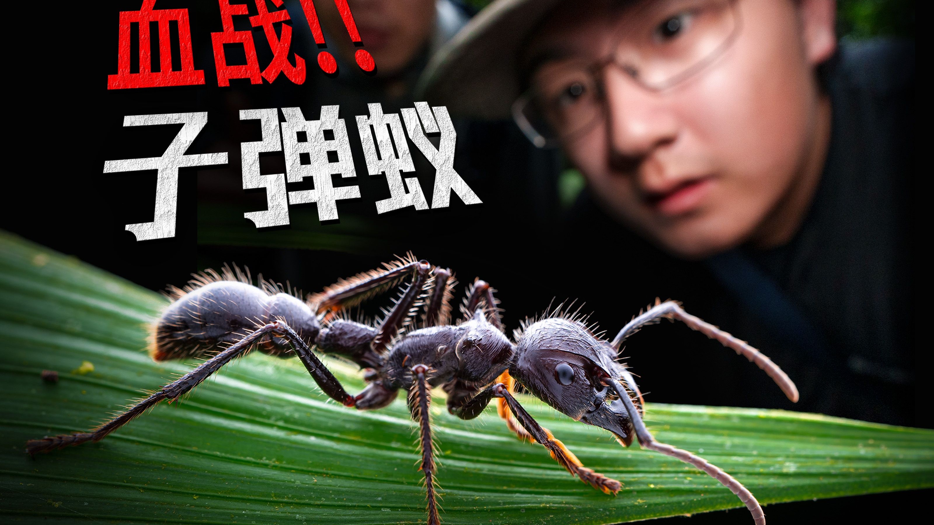 欧美无人区码卡二卡卡三卡四欧美无人区码卡二卡卡三卡四，探险与冒险的神秘之地