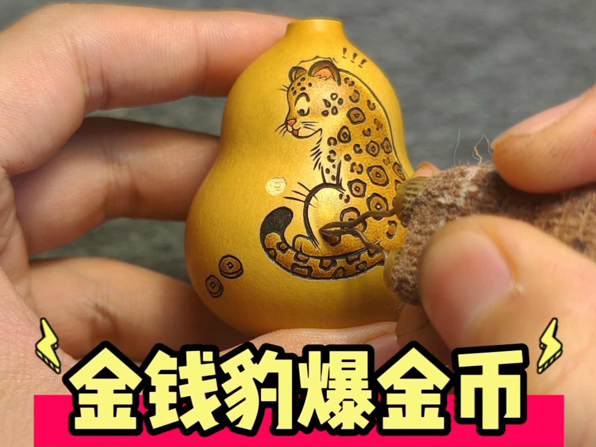 金钱豹攻略-第3张图片