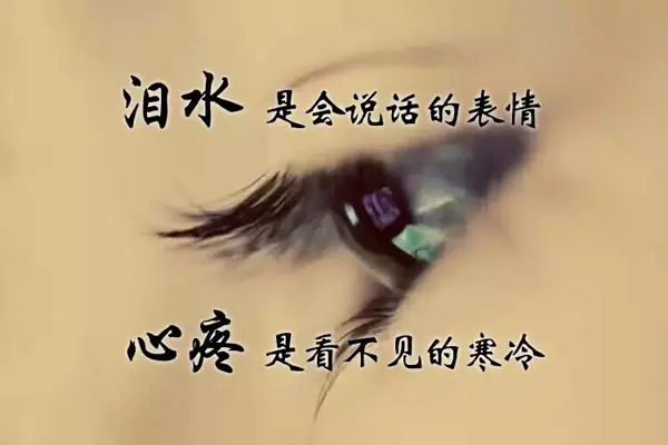 漂亮的领居中文字 2个回答漂亮的领居——中文字的魅力