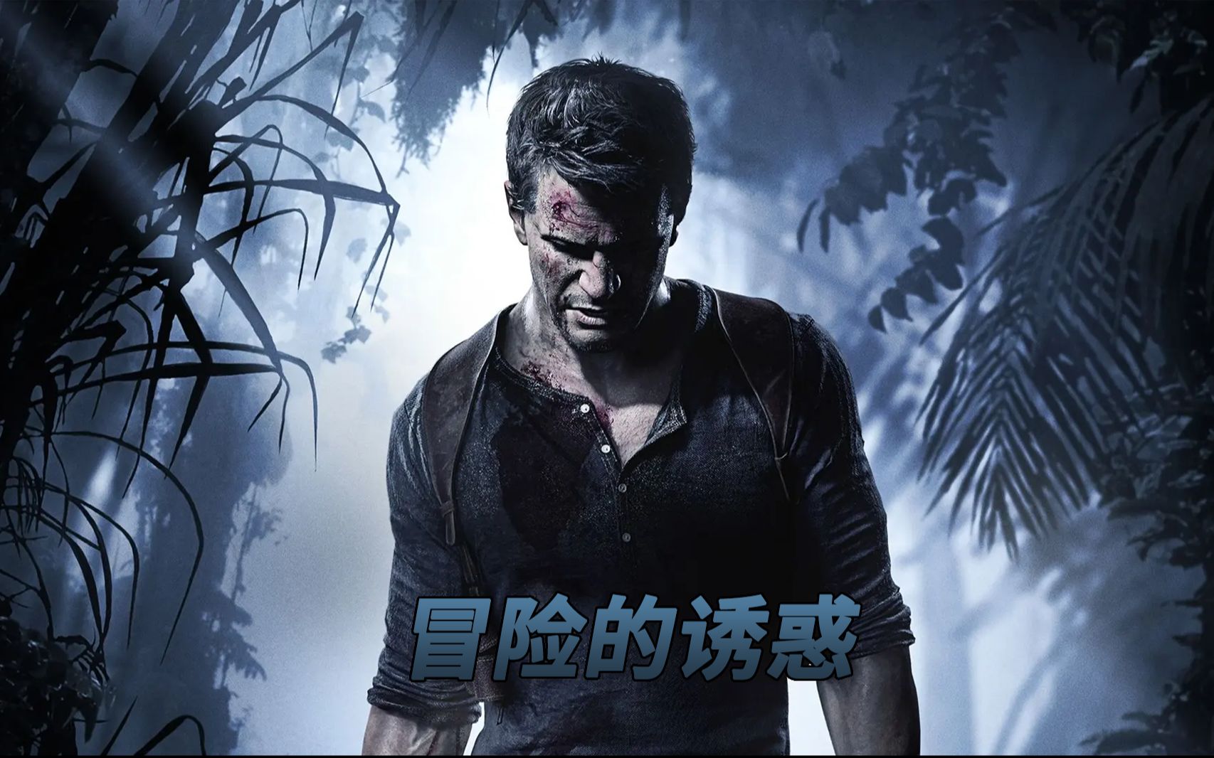 日本午夜看X费免，探索神秘诱惑背后的真相