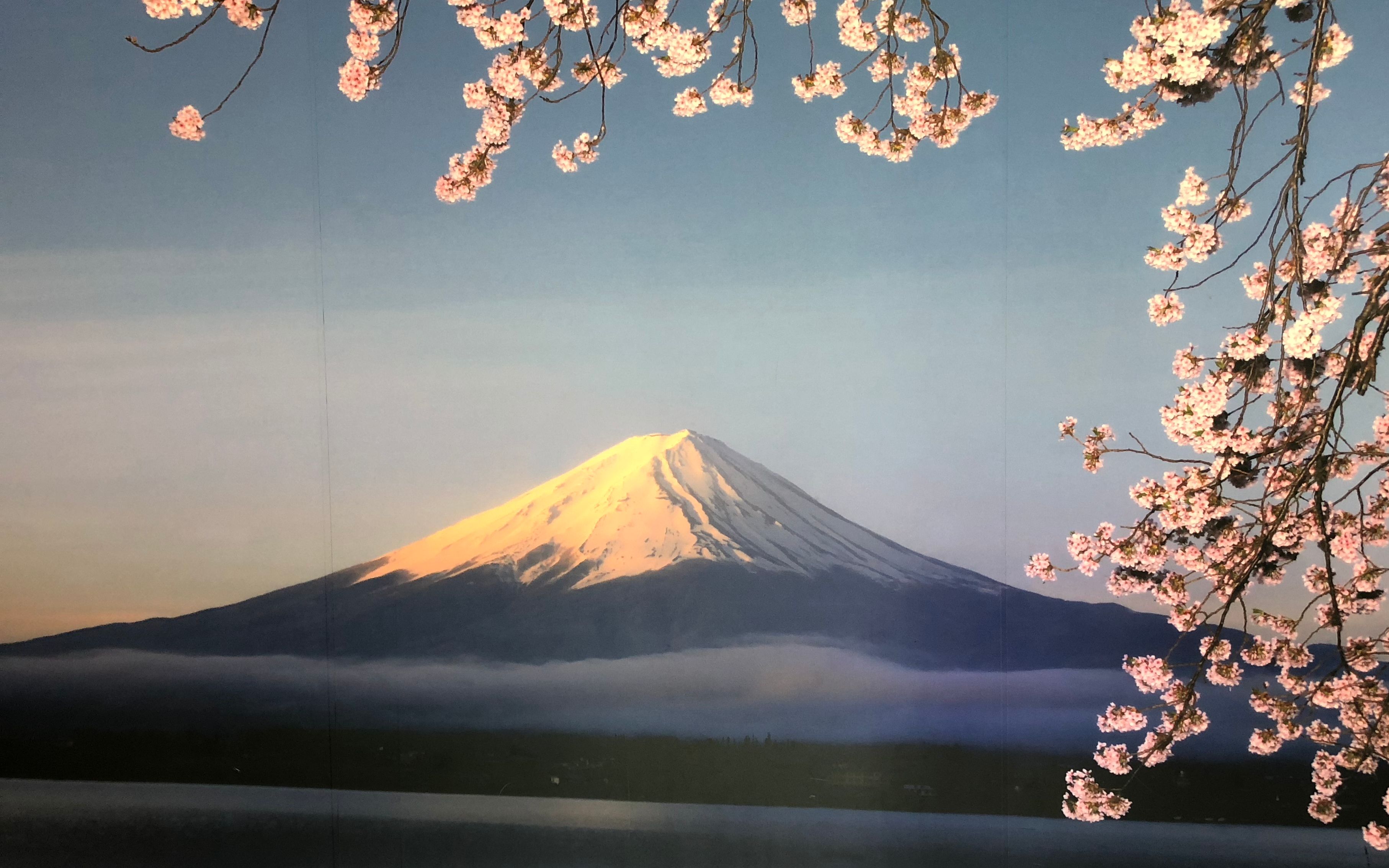 探索神秘日本神秘文化——XXXXXX18-第2张图片