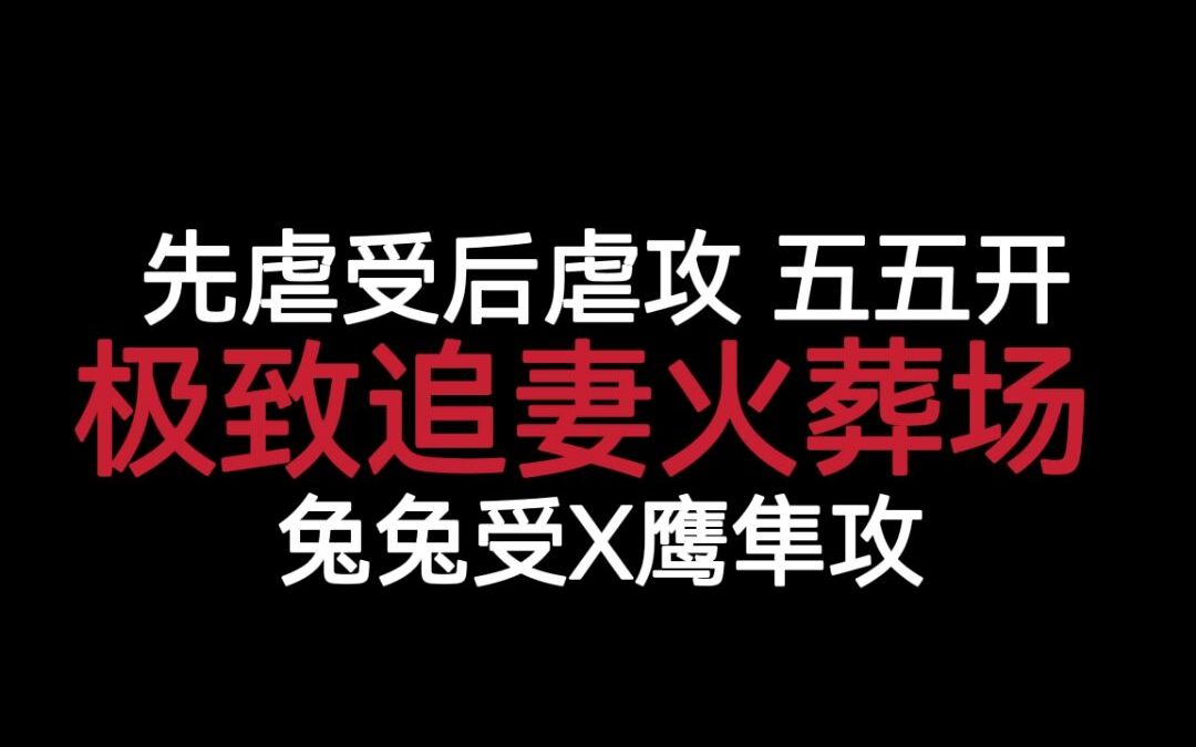 原耽中最猛的车——极致性能与独特设计