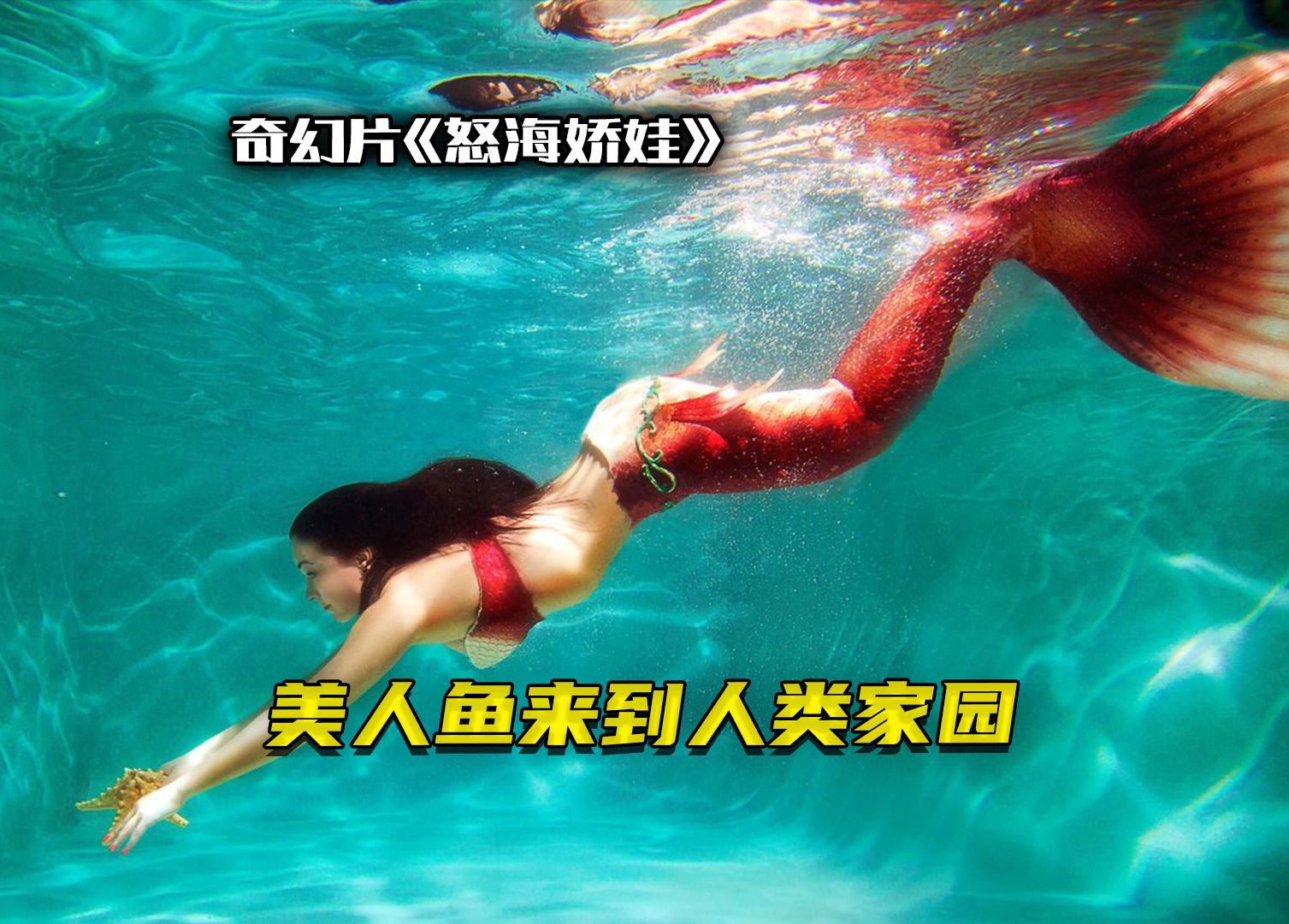 138383美人鱼论坛美人鱼探索138383美人鱼论坛，美人鱼的奇幻世界-第2张图片