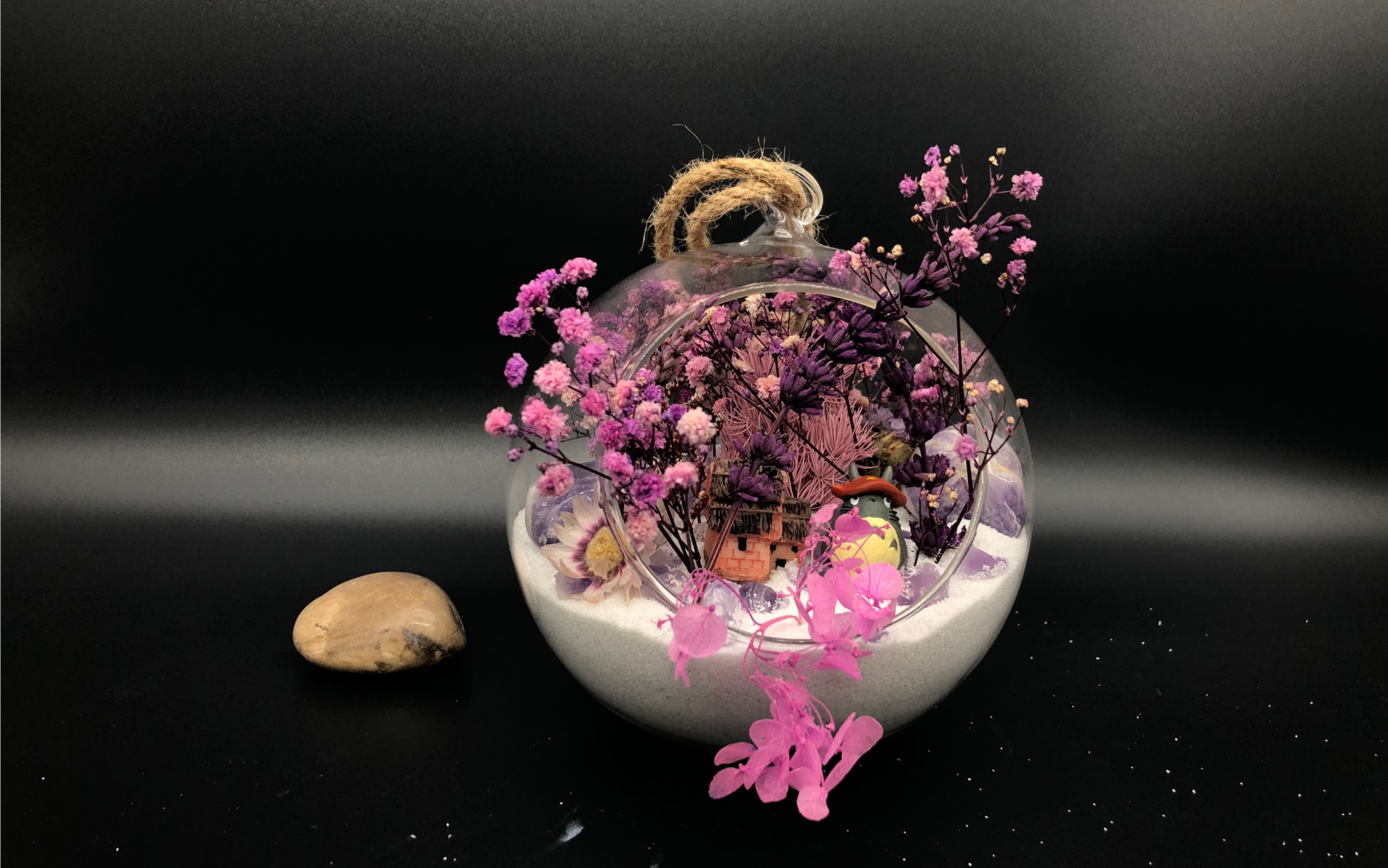 紫龙插花芯紫龙插花芯