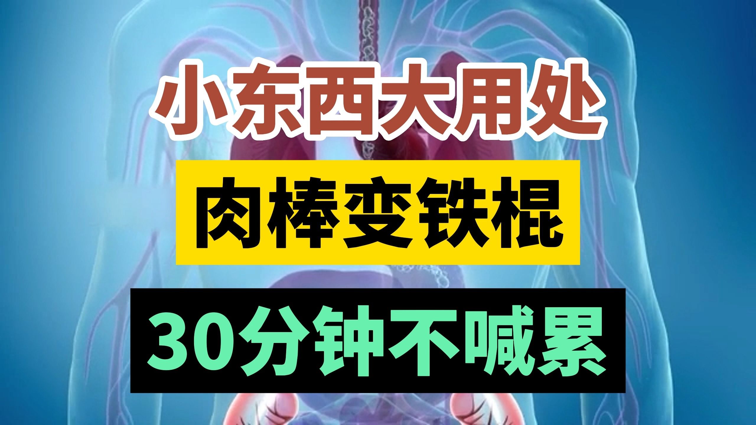 巨大的肉棒-第2张图片