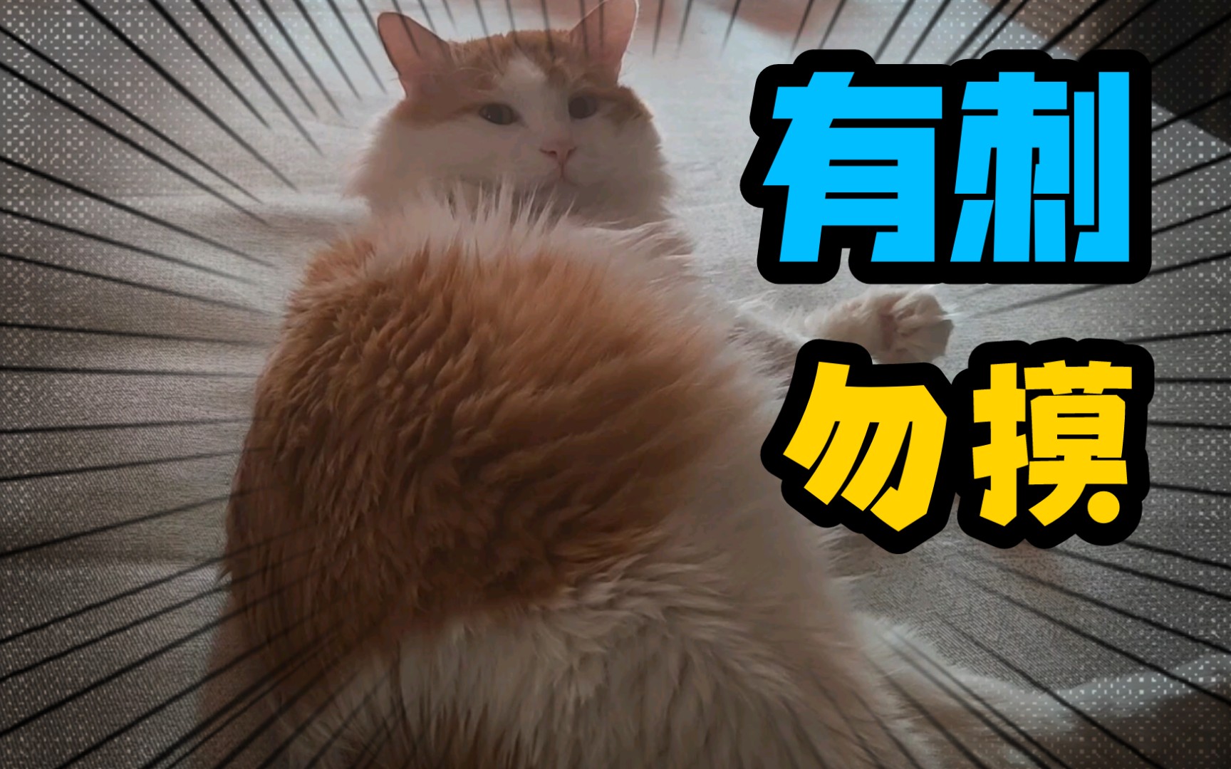 混乱的一家人里有个小孩叫安安小说名字混乱的一家人，安安的故事
