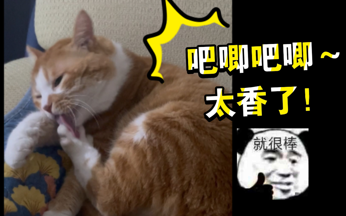 太深了吧唧吧唧吧唧视频免费观看太深了吧唧吧唧视频免费观看-第2张图片