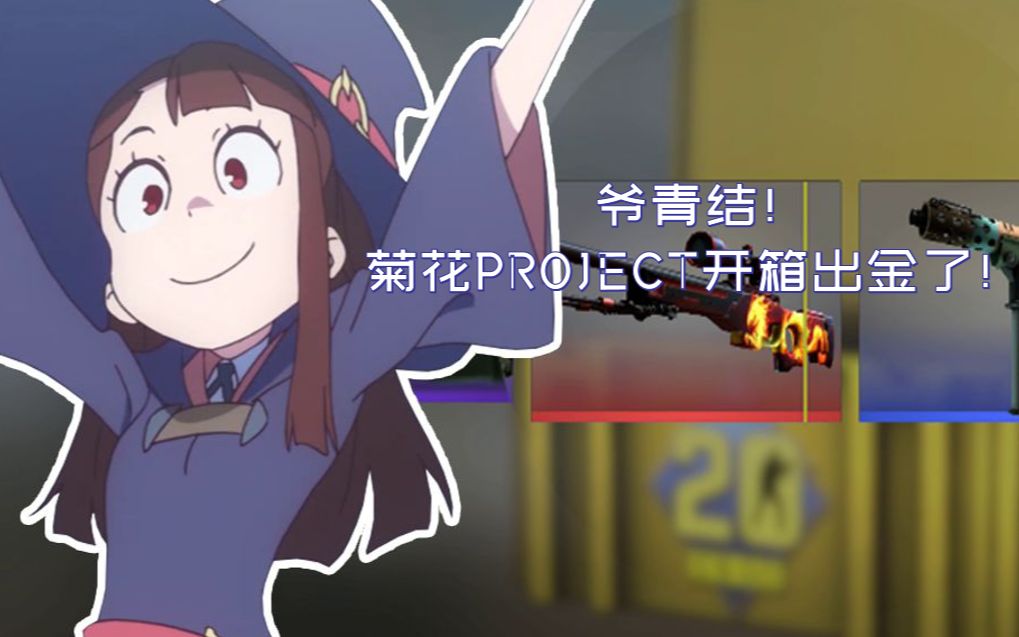 菊花PROJECT视频BGM菊花与PROJECT视频，BGM的魅力之旅-第3张图片