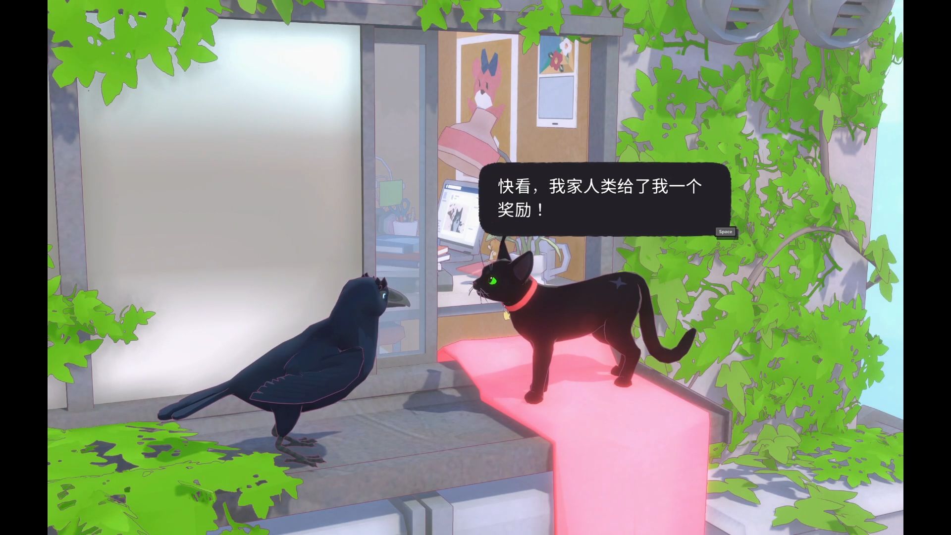 小猫咪在大城市的生活-第2张图片