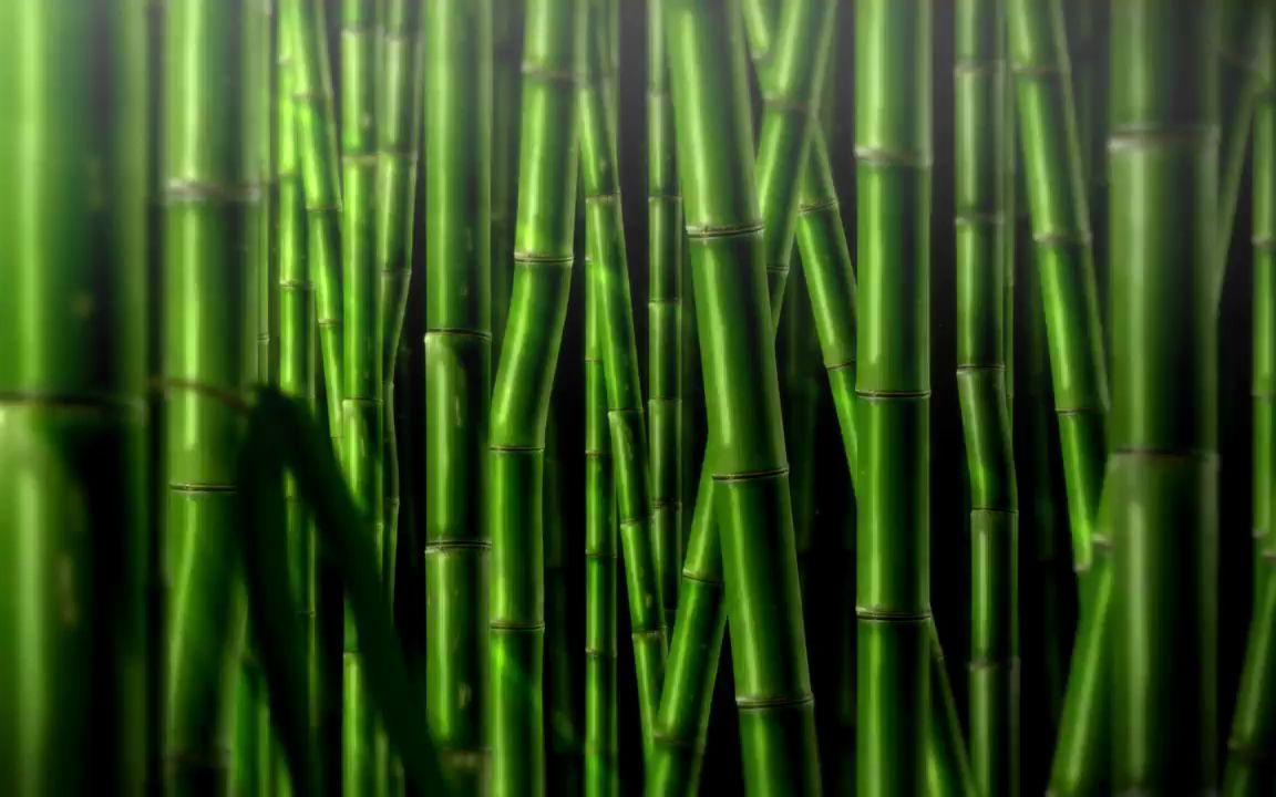 竹林笙外h橙子姐姐竹林笙外