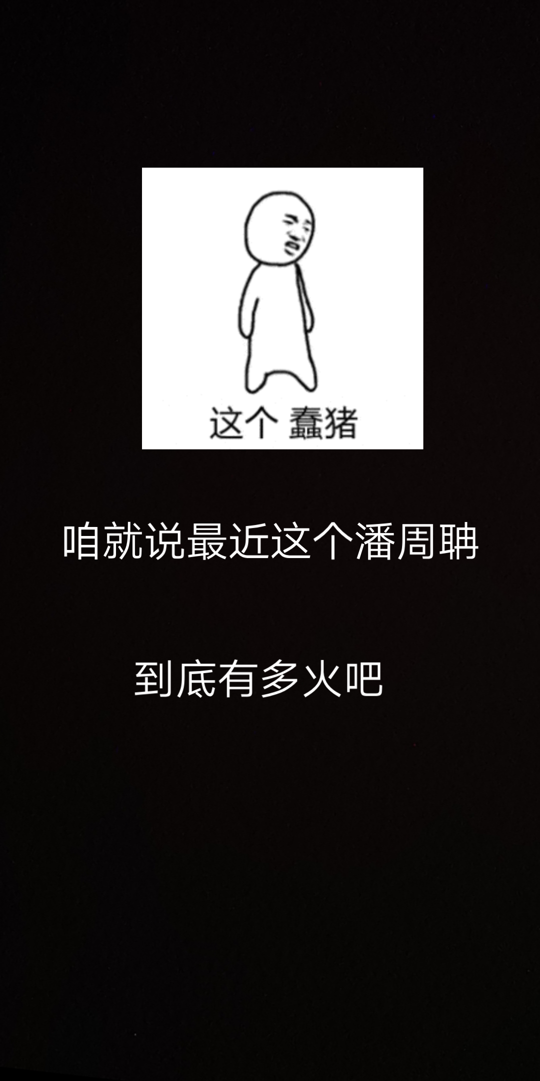潘周诗朕潘周聃是什么梗-第3张图片