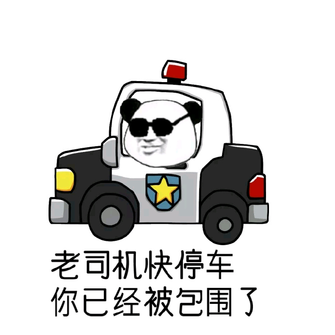 老司机带带我 懂得 视频老司机带你走进视频世界-第2张图片