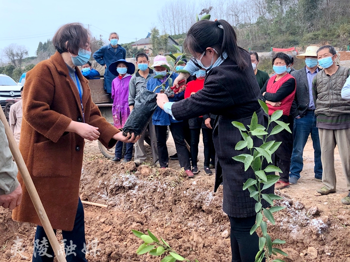 江苏村官吃饭三段视频播放江苏村官，扎根基层，服务乡村振兴