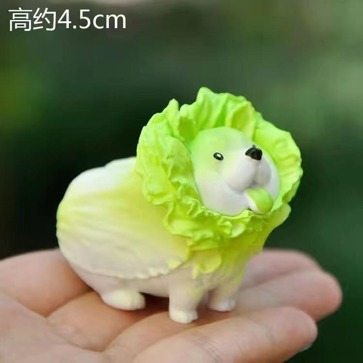 粉色大白菜(法国)粉色大白菜——法国的独特之选