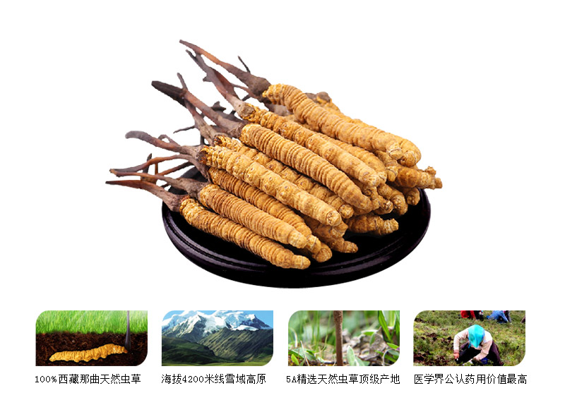 福临门燕窝福临门燕窝，奢华滋补的珍品