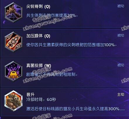 斯维因天赋，天赋与成长的交织