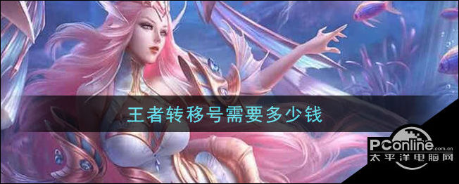 转服要多少钱转服费用是多少？