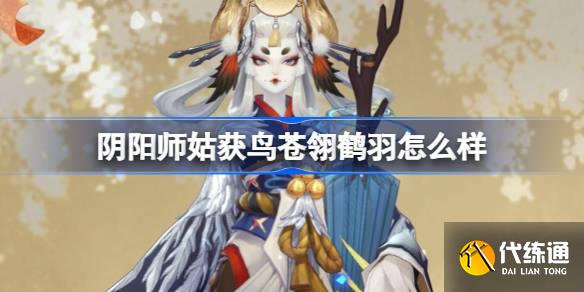 姑获鸟皮肤，神秘与美丽的交织