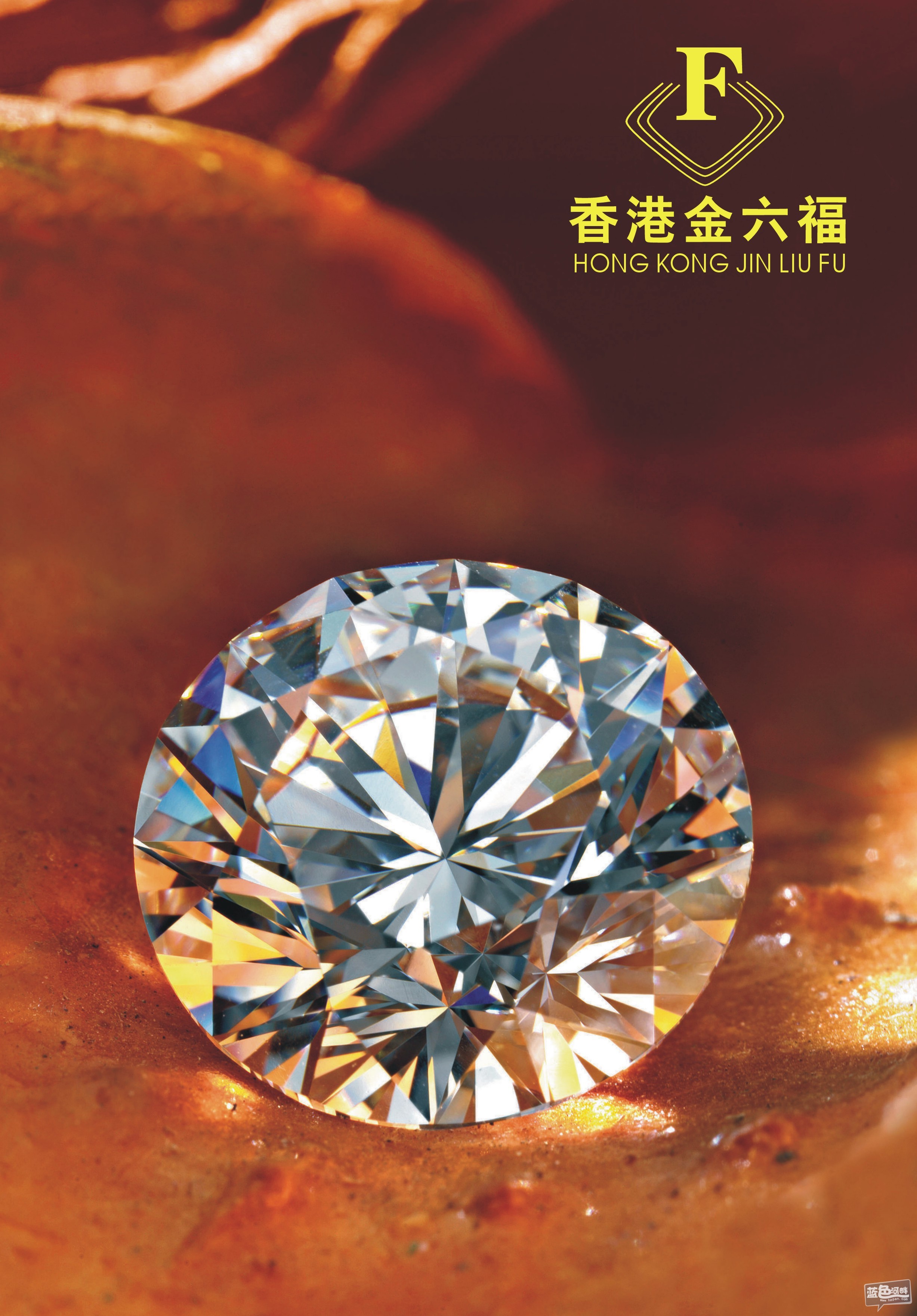 金六福心水论坛金六福心水论坛，汇聚智慧与梦想的舞台-第1张图片