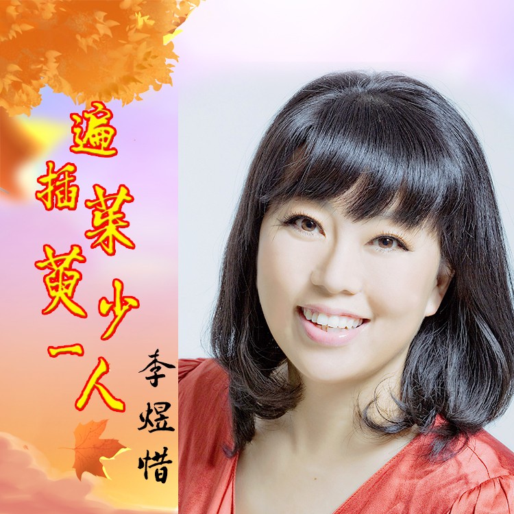 要插茱萸少一人插叙之我见-第2张图片
