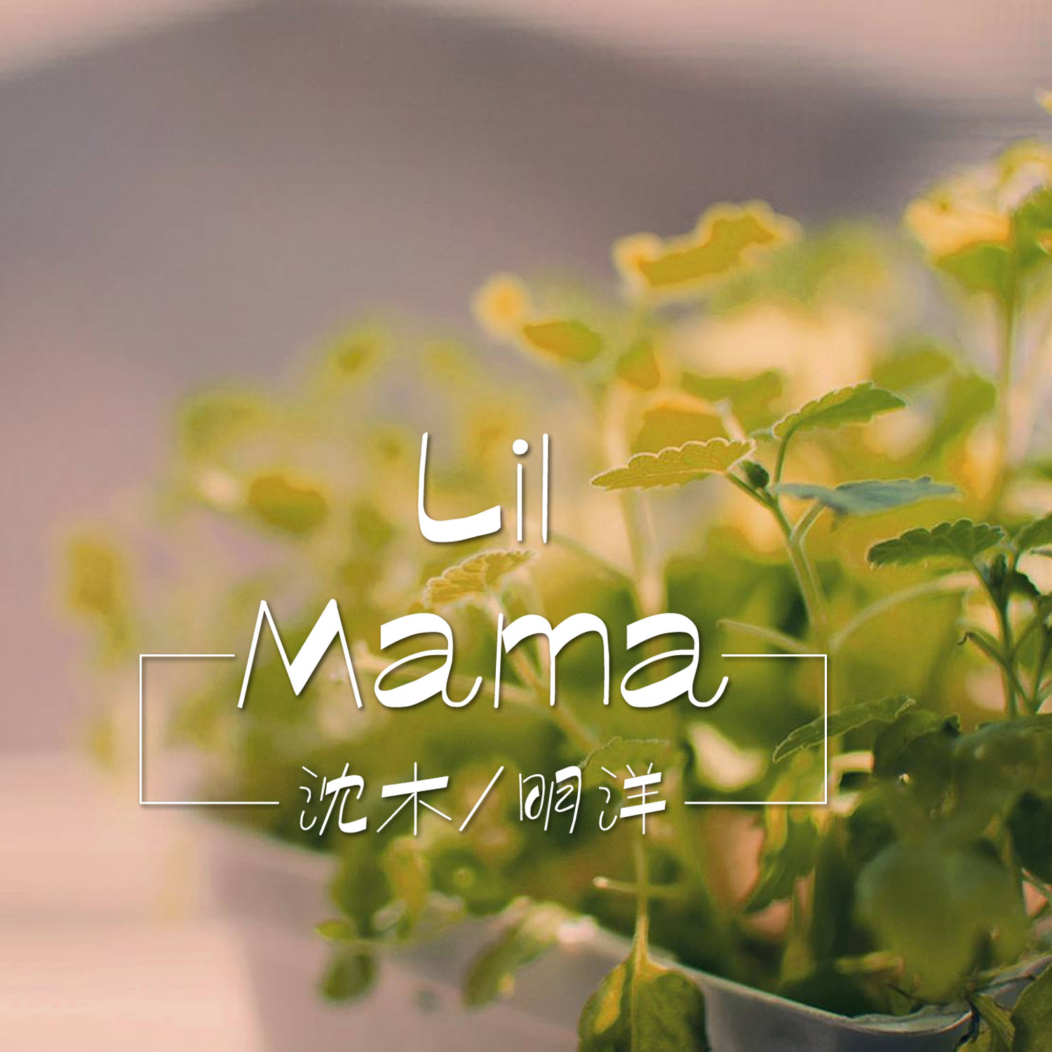 沈木兮薄云岫免费阅读沈木兮薄云岫，一场神秘的阅读之旅