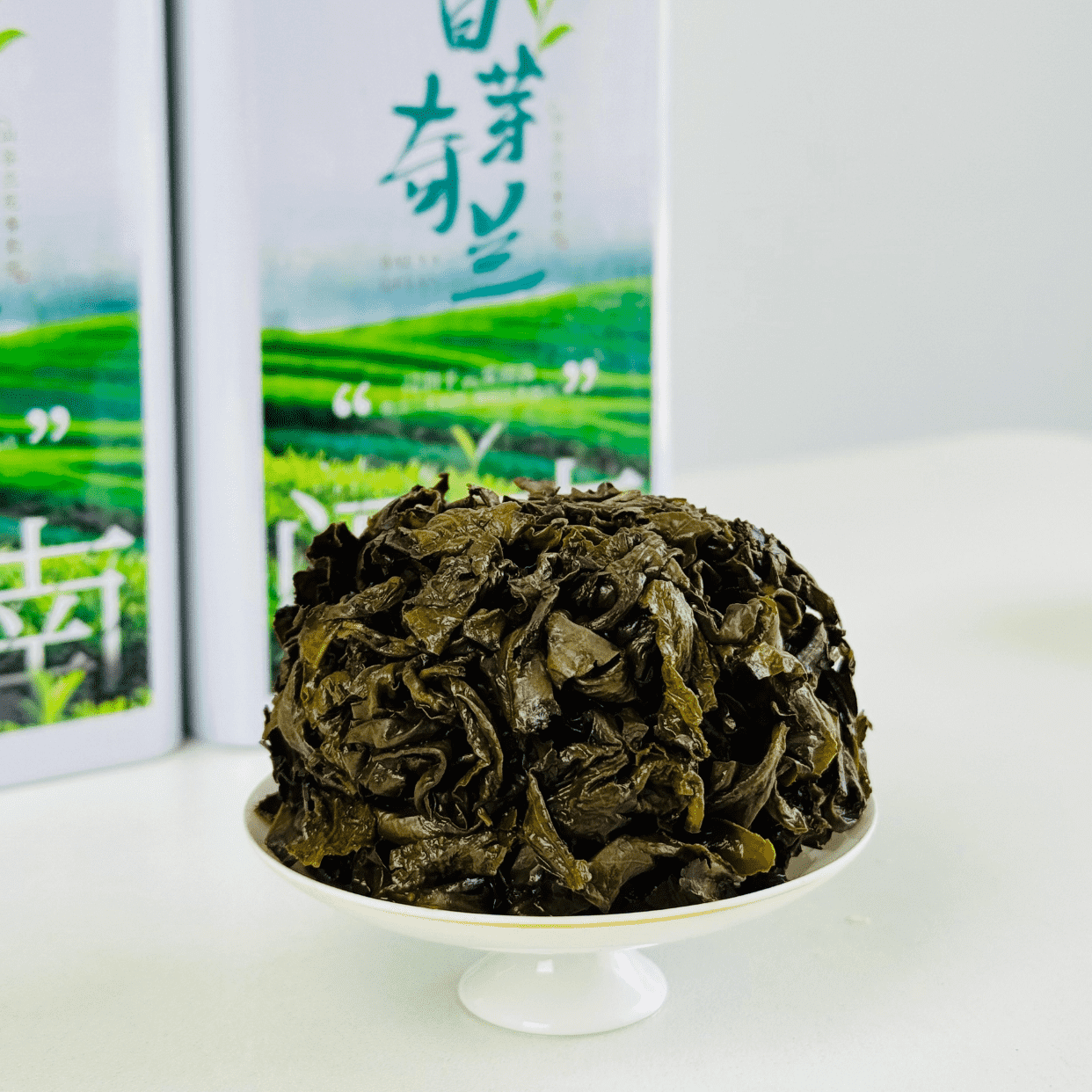 白芽奇兰，兰花中的珍品