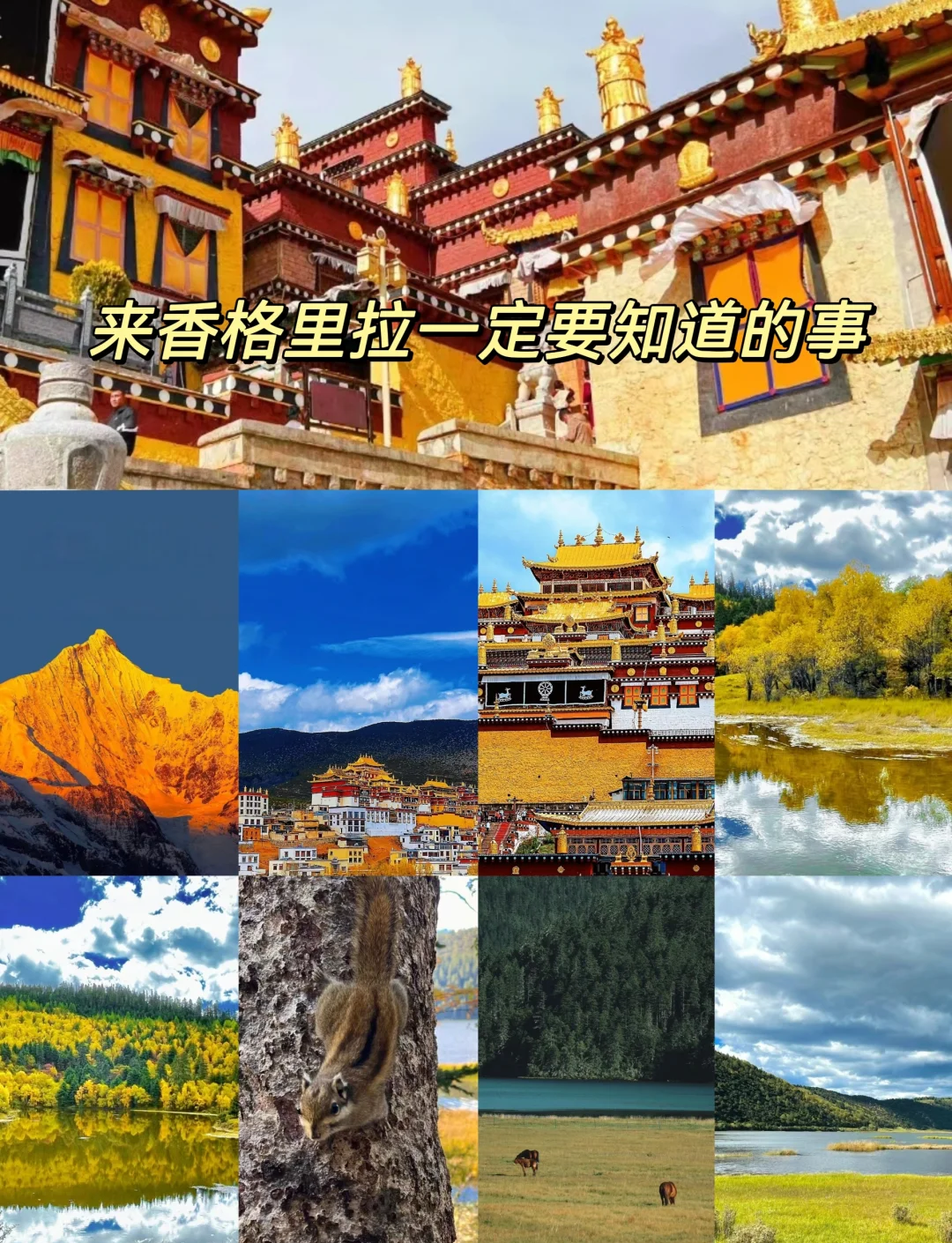 亚洲天堂资源网亚洲天堂资源网，探索神秘天堂之旅