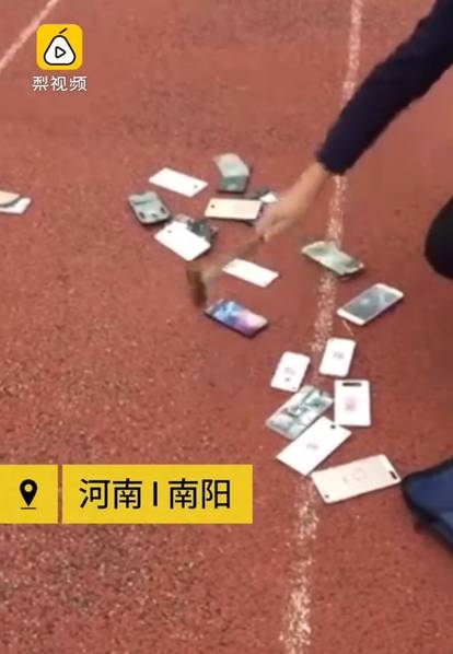 6合开奖结果2013，揭秘幸运之门