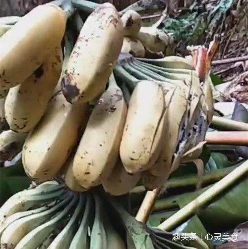 熟透了的岳-第1张图片