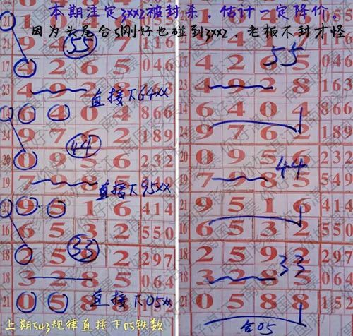 七星彩南海论坛，探索彩市新天地-第2张图片